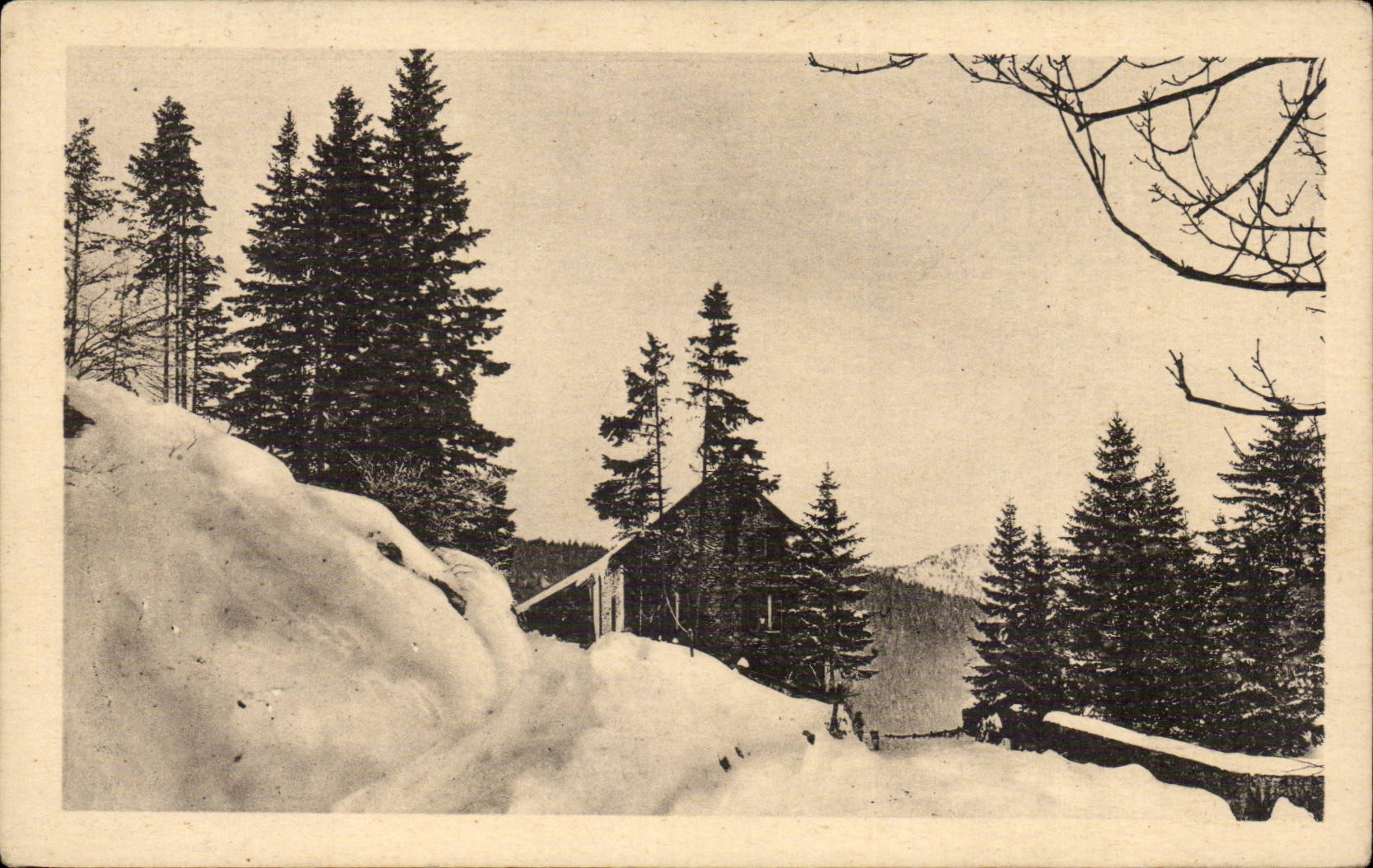 CPA Villard de Lans La route du bois Barby sous la neige