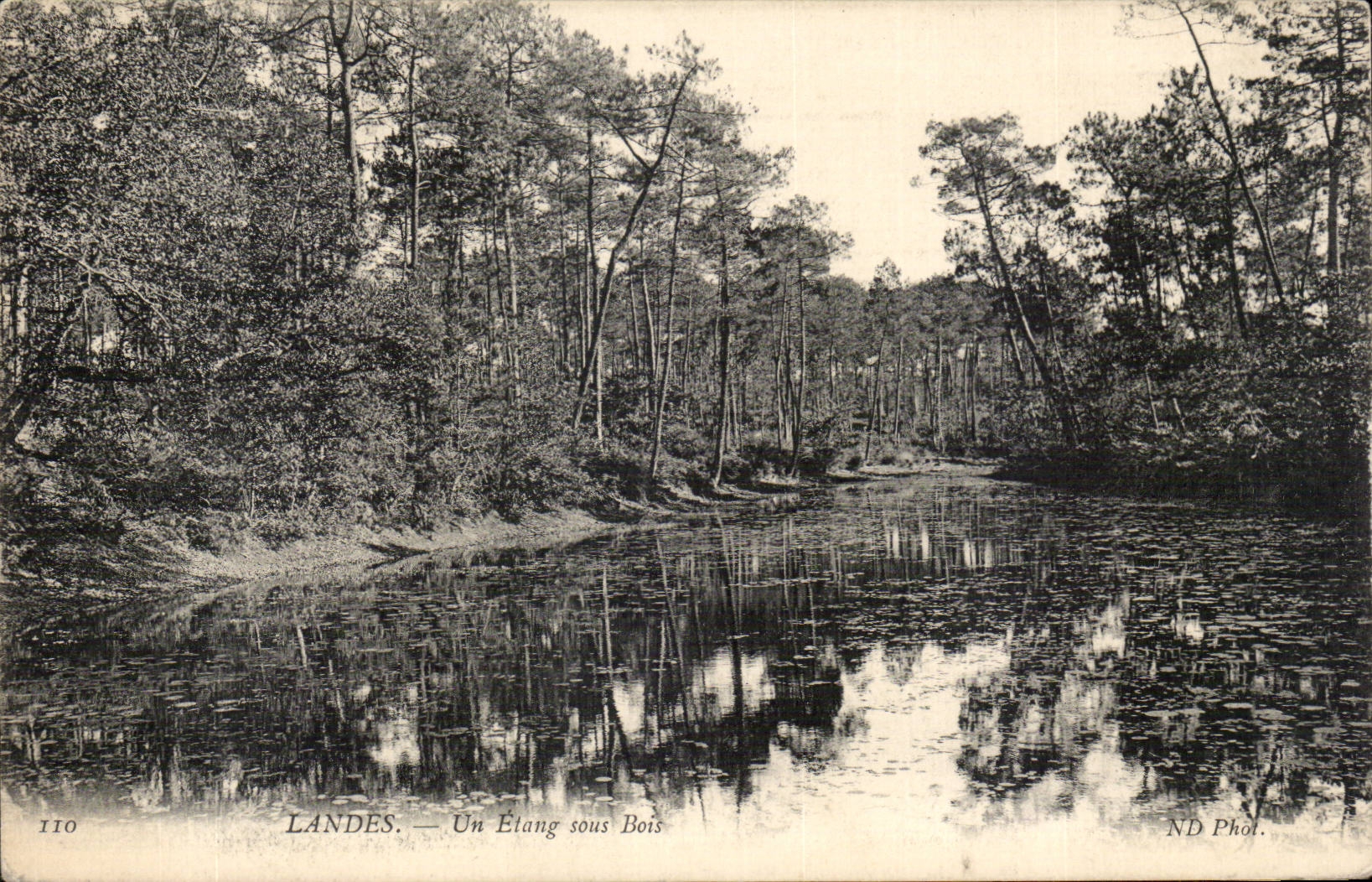 Landes — Un Étang sous Bois — ND Phot.