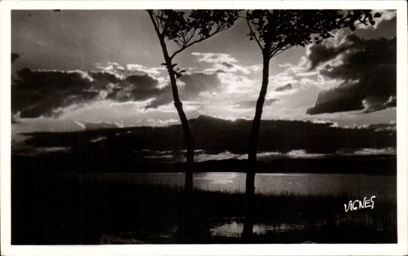 Lac de Léon — Soir d'Orage — VIGNES