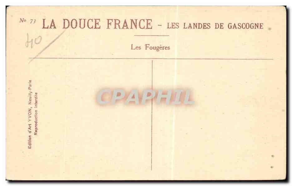 Les Fougères — Les Landes de Gascogne — Édition d'Art YVON, Neuilly-Paris — Rückseite