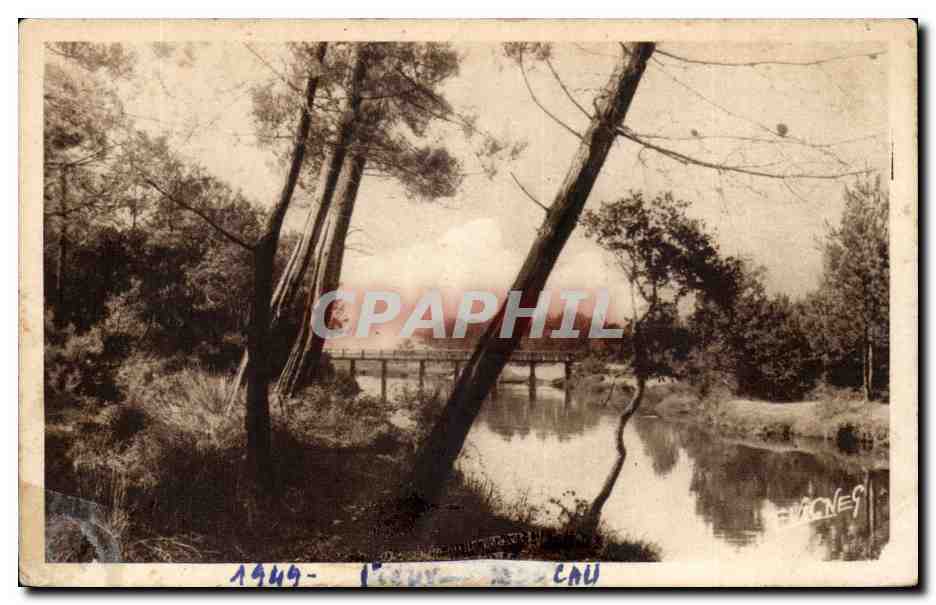 CPA Vieux Boucau les Bains Le courant en foret