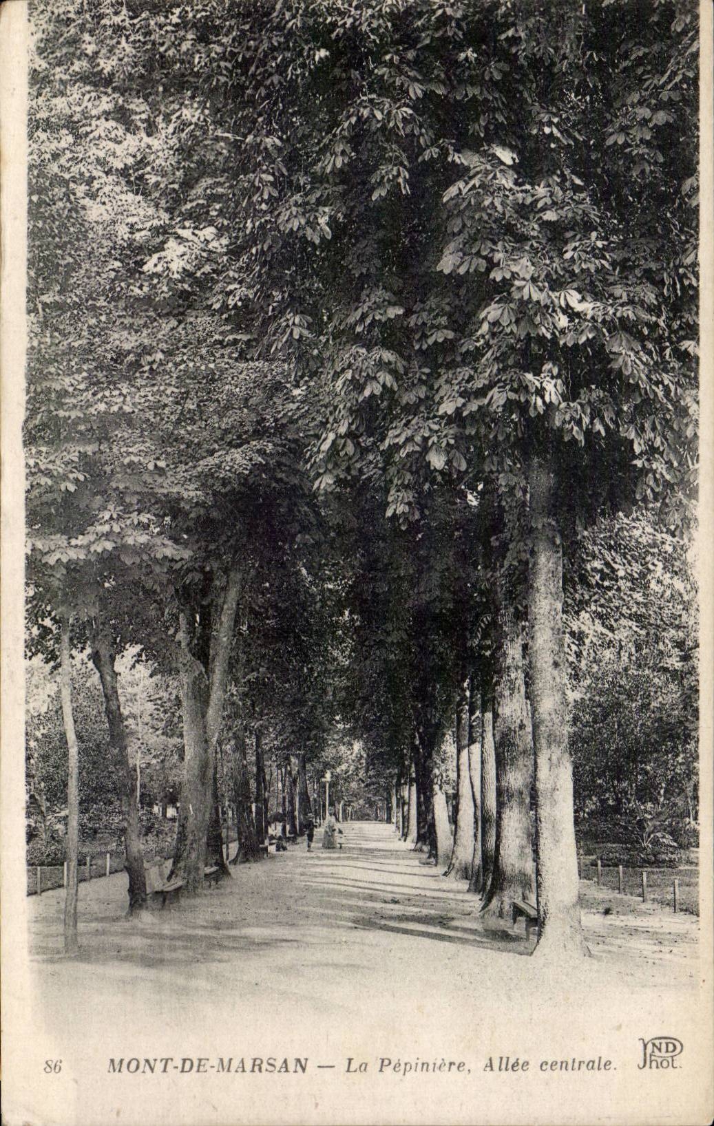 CPA Mont de Marsan La pepiniere Allee centrale