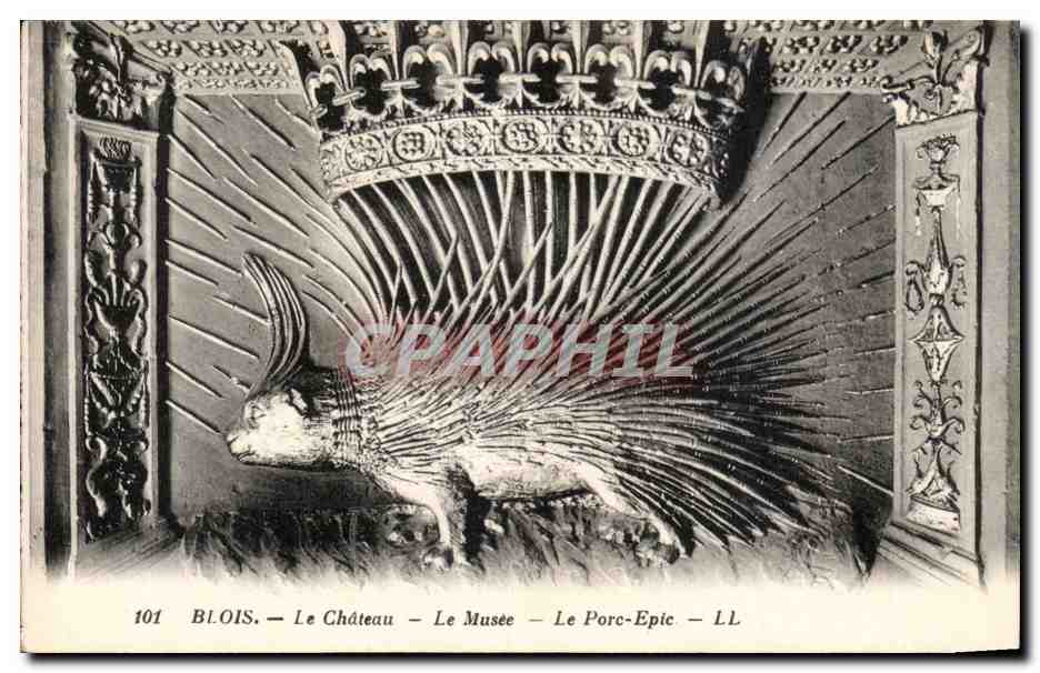 CPA Blois Le chateau Le Musee Le porc Epic