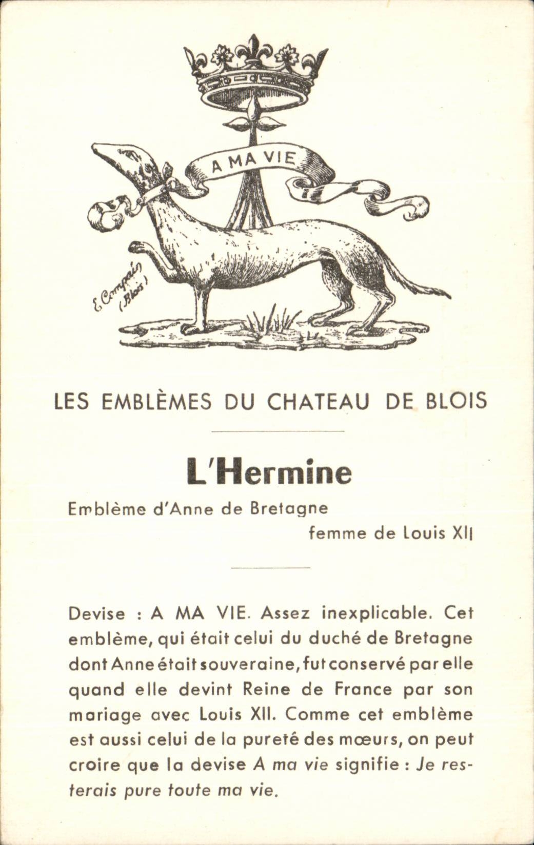 CPA Blois Les emblemes du chateau L'hermine