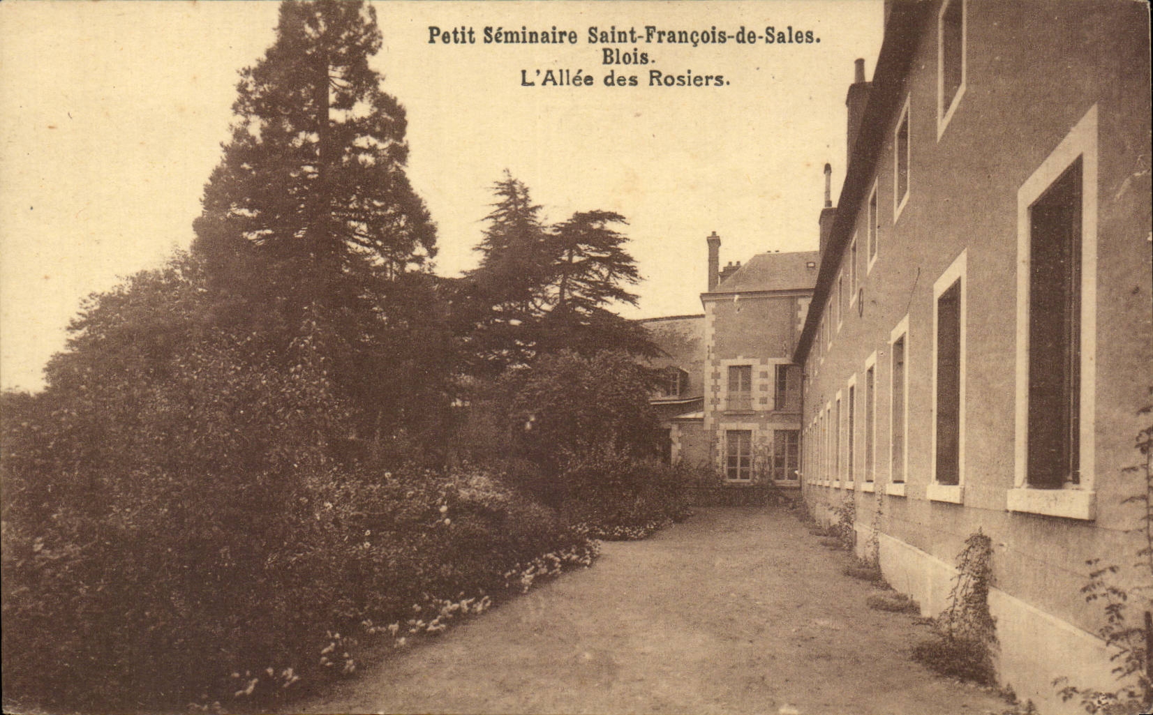 CPA Blois Petit seminaire Saint Francois de Sales L'allee des rosiers