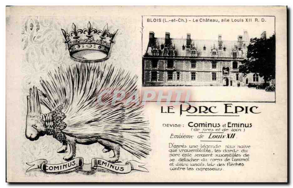 CPA Blois Le porc epic Cominus et Eminus La chateau Aile Louis XII