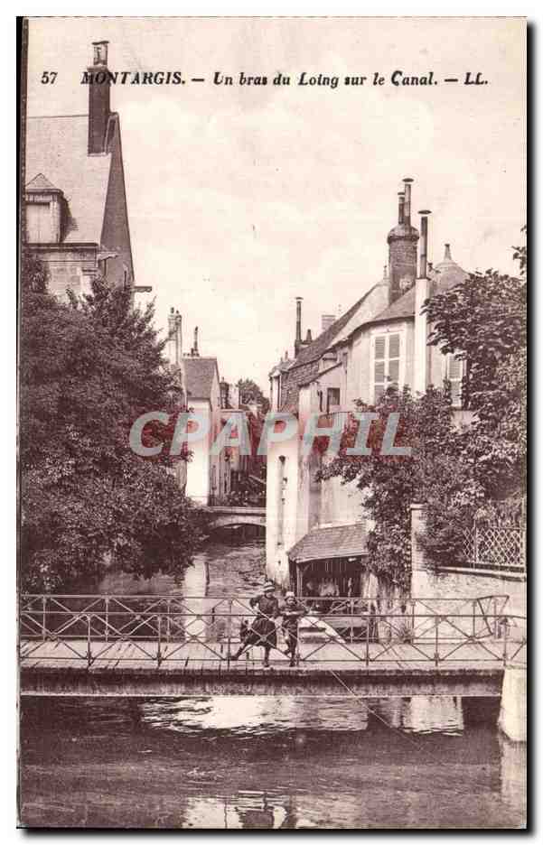 CPA Montargis Un bras du Loing sur le canal