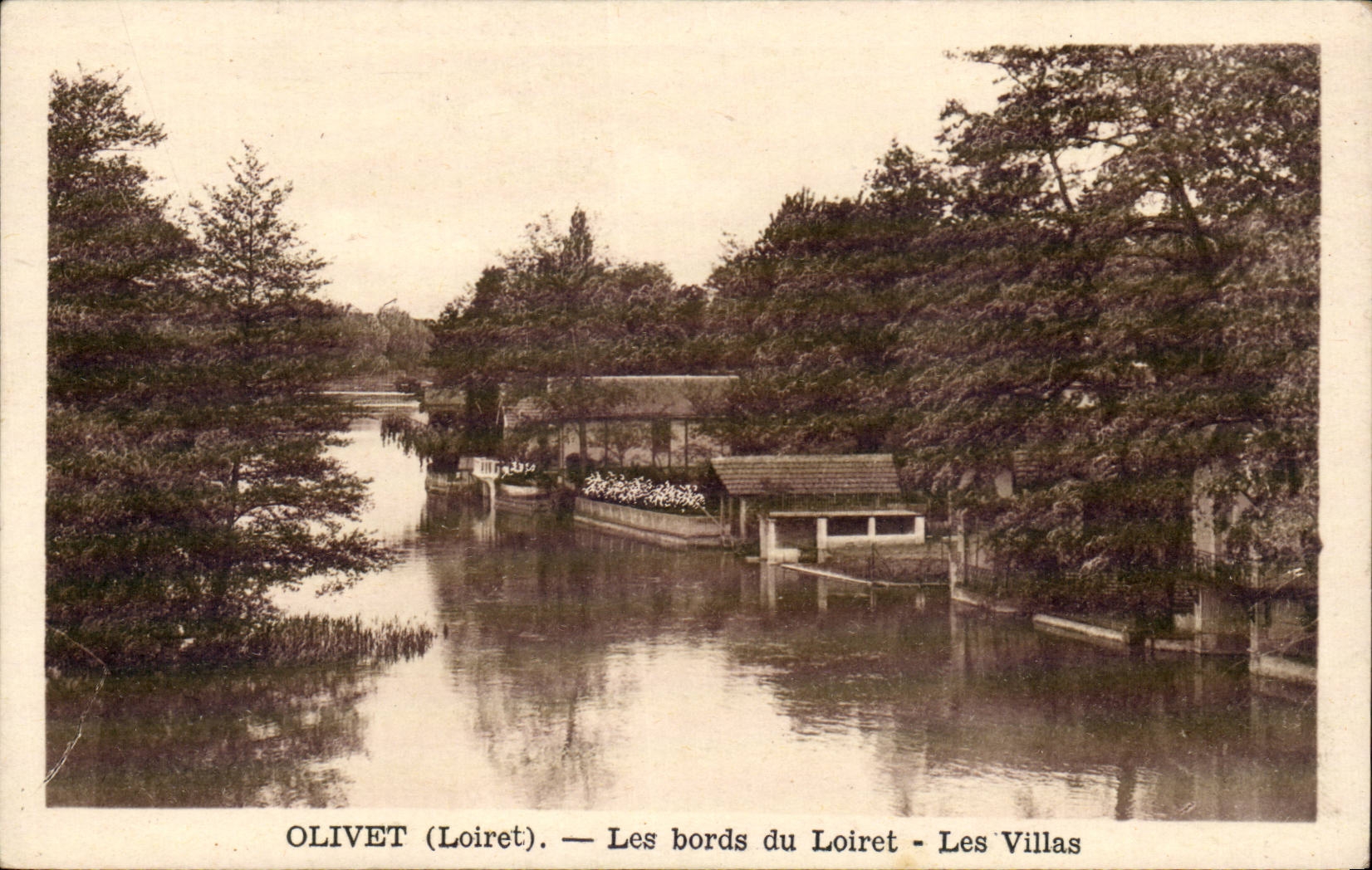 CPA Olivet Les bords du Loiret Les villas