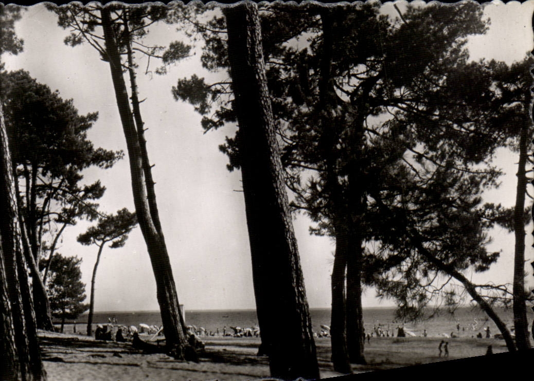 CPSM Andernos les Bains La plage du Betey