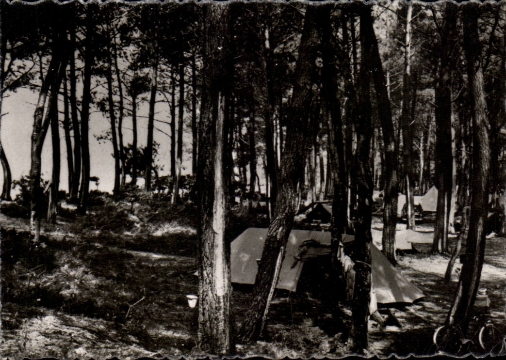 CPSM Andernos les Bains Le Mauret Sous bois et camping