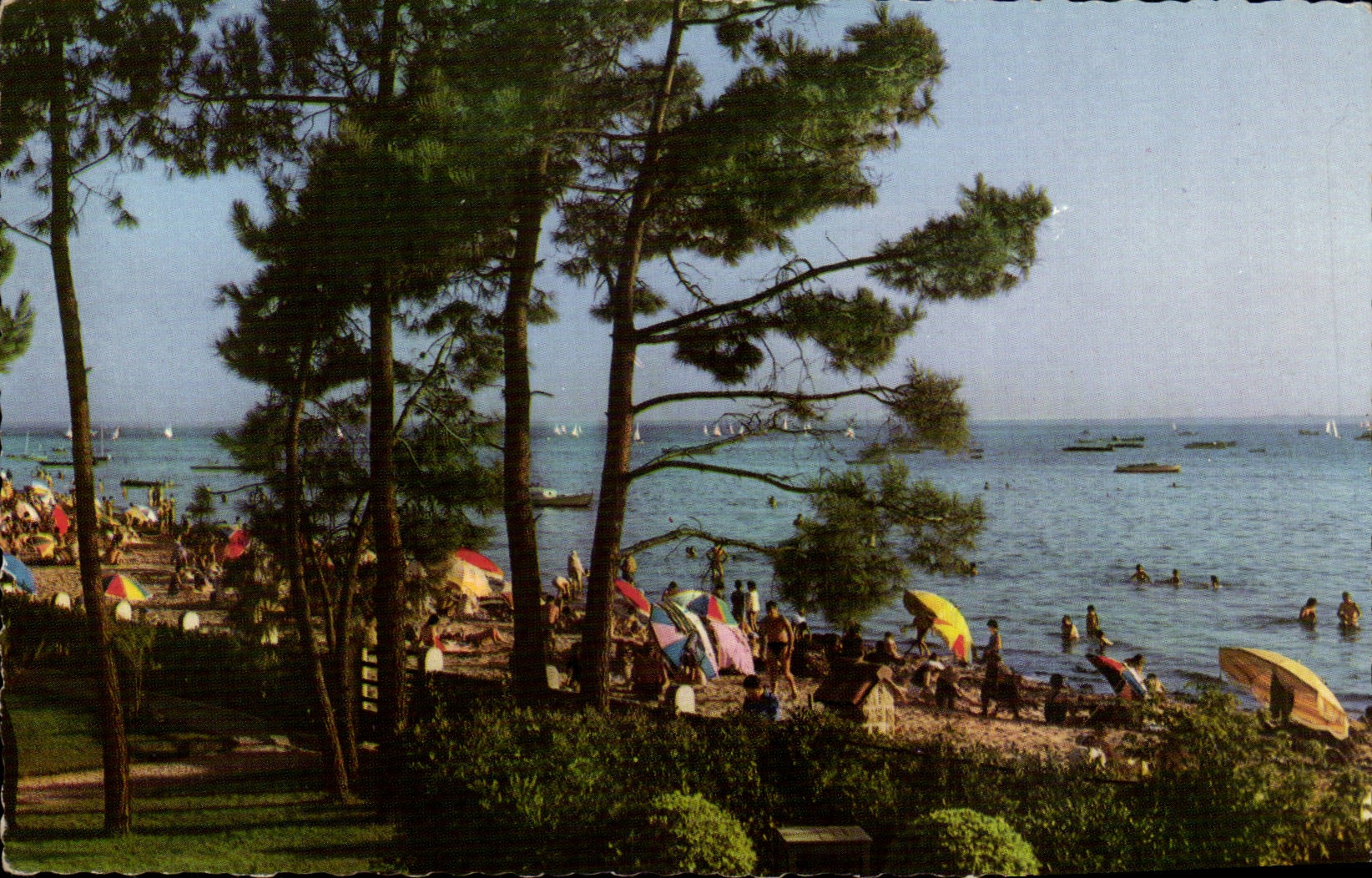 CPSM Andernos les Bains Le bassin a travers les pins