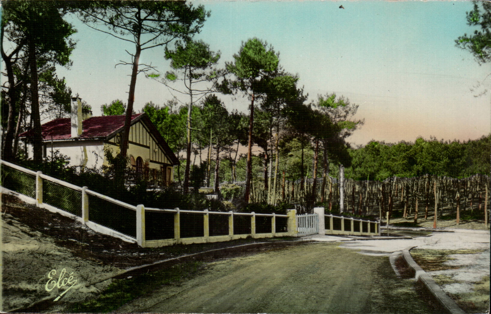CPSM Lacanau Ocean Villas dans la foret Avenue Armand Mollard
