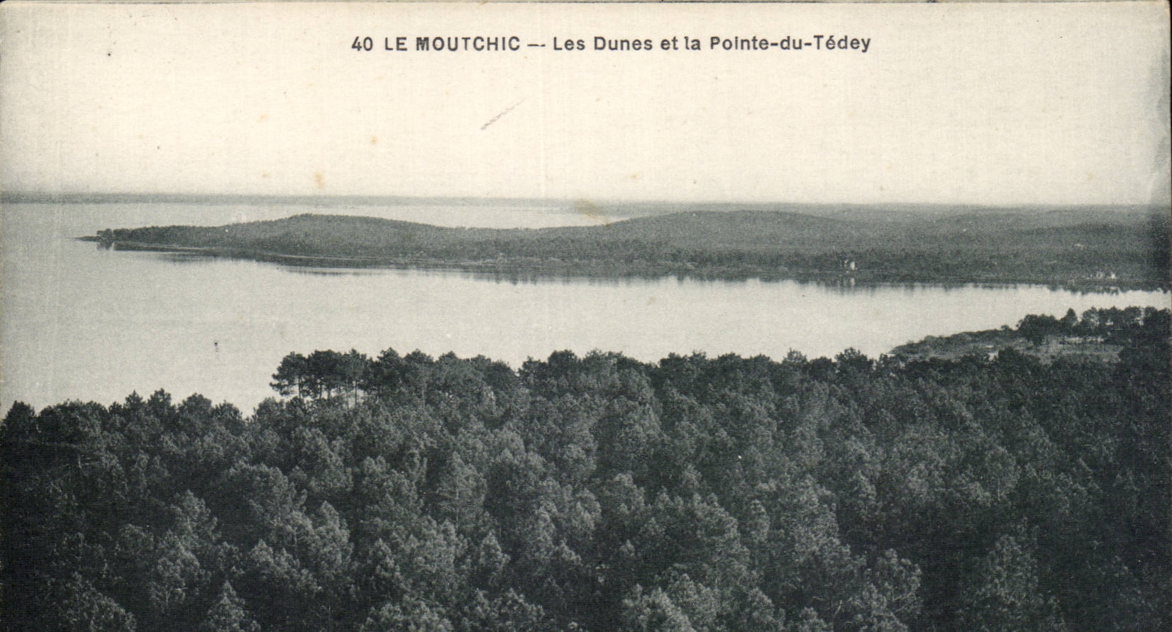 CPA Le Moutchic Les dunes et la pointe du Tedey