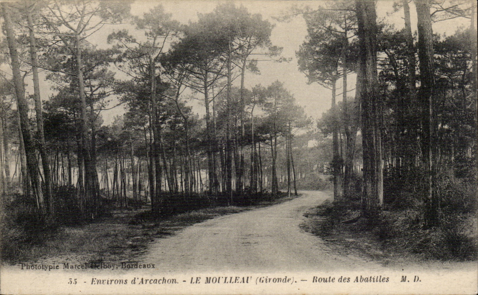 LE MOULLEAU (Gironde) — Route des Abatilles — Phototypie Marcel-Delbouy, Bordeaux, n°55