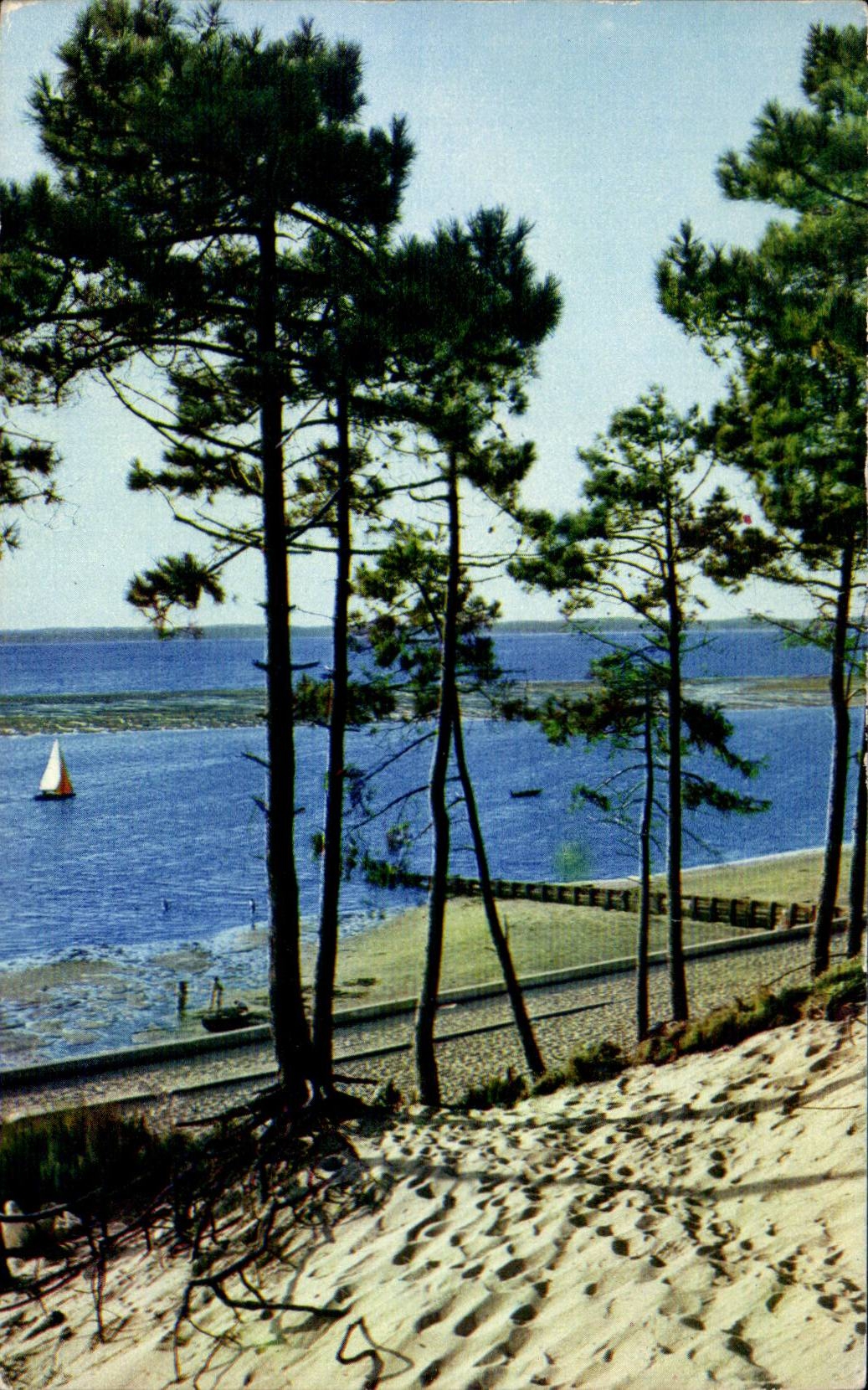 CPSM Le Moulleau Les dunes Les pins La mer