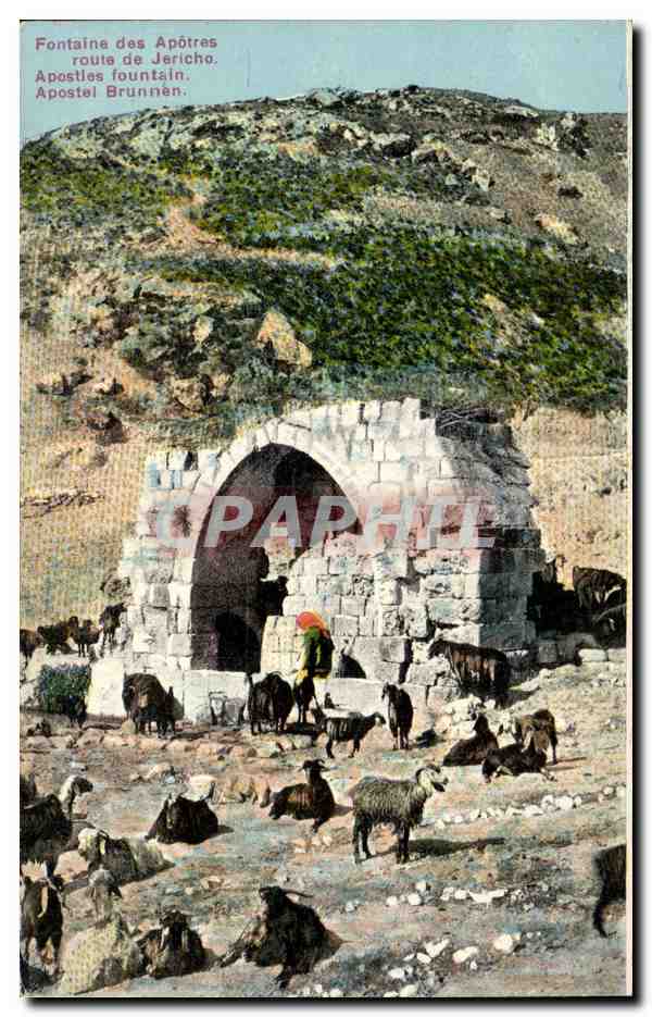 CPA Israel Fontaine des apotres route de Jericho Goat Chevre 