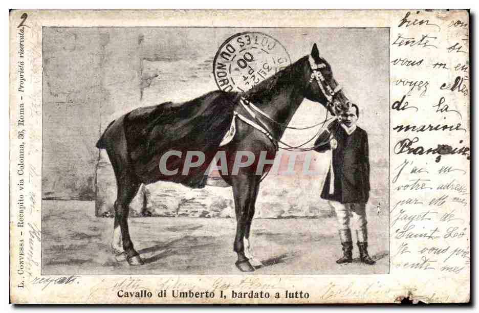 CPA Italie Italia Cavallo di Umberto I bardata a lutto Cheval Horse