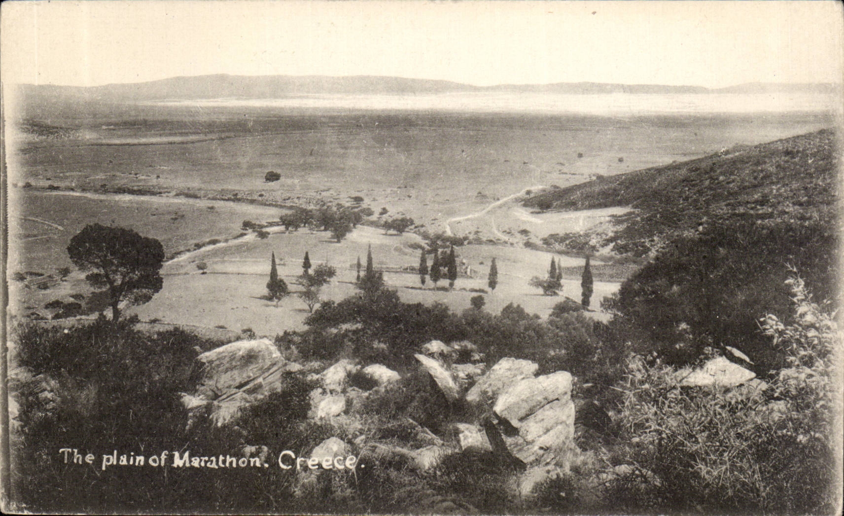 CPA Grece Greece The plain of marathon
