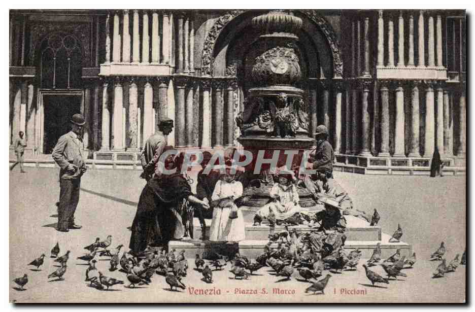 CPA Italie Italia Venezia Piazza S Marco I Piccioni