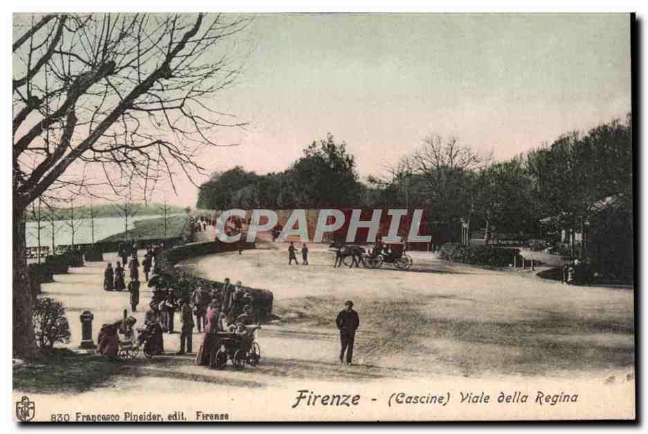 Italia - Italie - Italy - Firenze - Florence - Viale della Regina - CPA 
