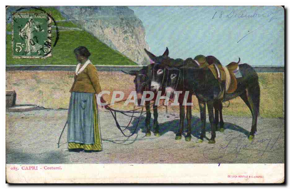 Italia - Italie - Italy - Capri - Costumi - Femme - ane - donkey - CPA 
