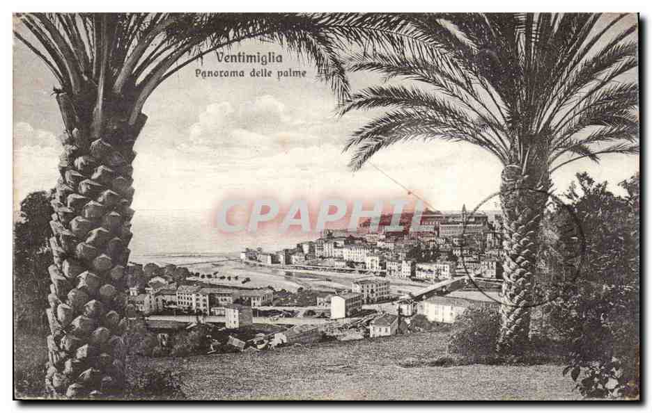 Italia - Italie - Italy - Ventimiglia - Panorama delle Palme - CPA 