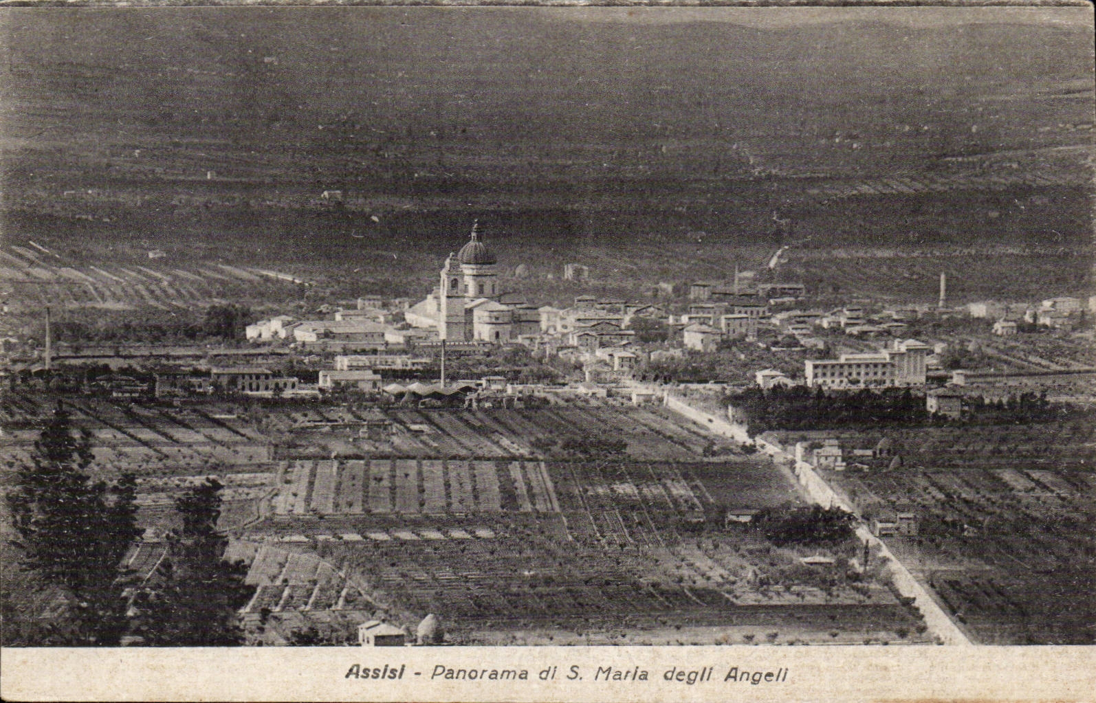 Italia - Italie - Italy - Assisi - Panorama di S Marla degli Angeli - CPA 