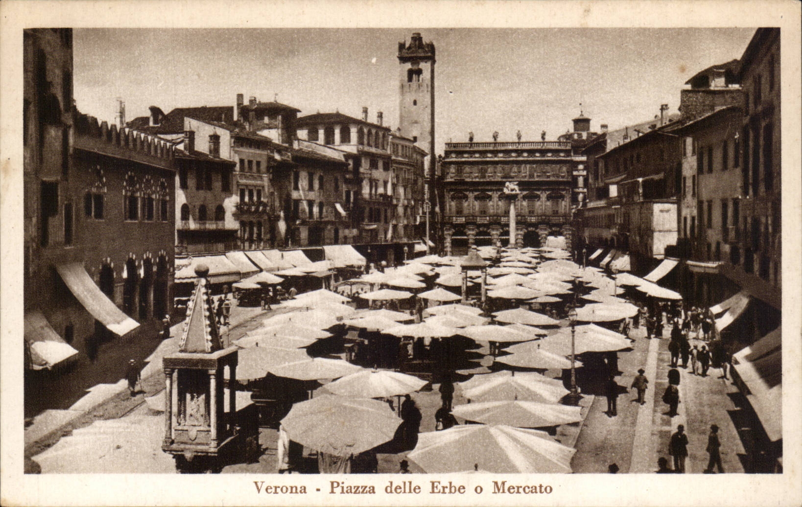 Italia - Italie - Italy - Verona - Piazza delle Erbe - CPA 