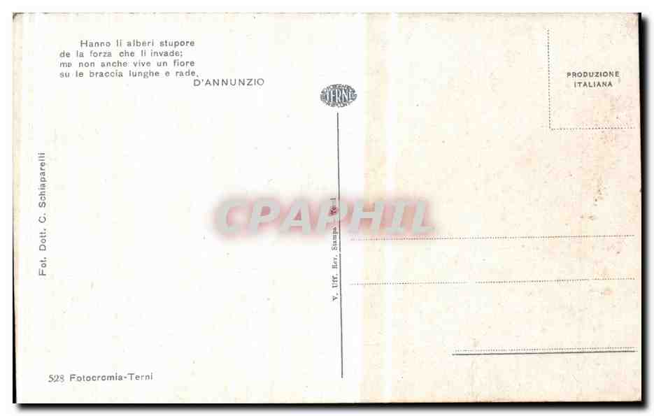 Italia - Italie - Italy - Hanno Il Alberi - CPA  — Rückseite