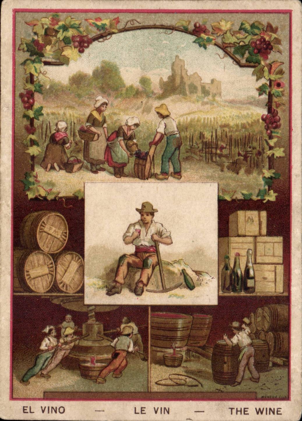 Les Vignes - El Vino - Le Vin - The Wine - 