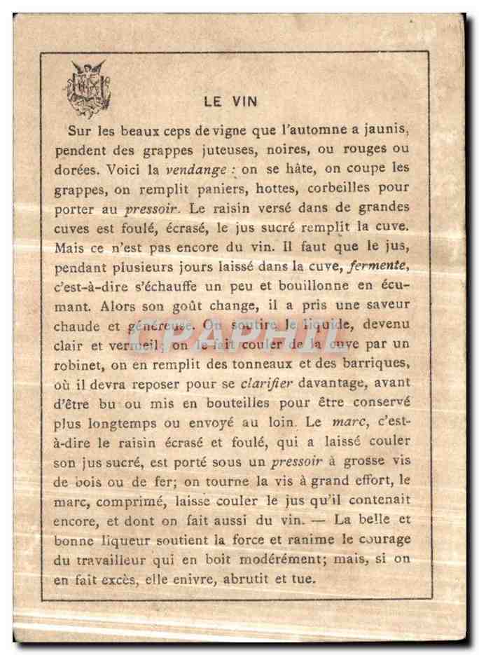 Les Vignes - El Vino - Le Vin - The Wine -  — Verso