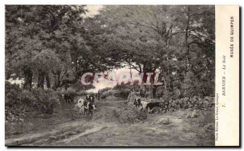 CPA Musee de Quimper Bernier le soir Vaches