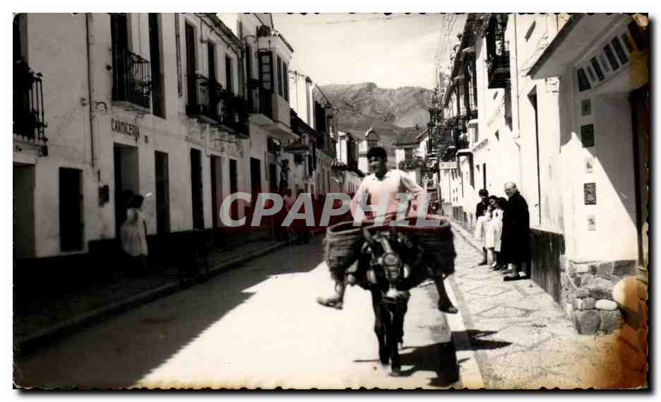 CPA Espagne Spain Espana Malaga Calle San Miguel Ane donkey Mule