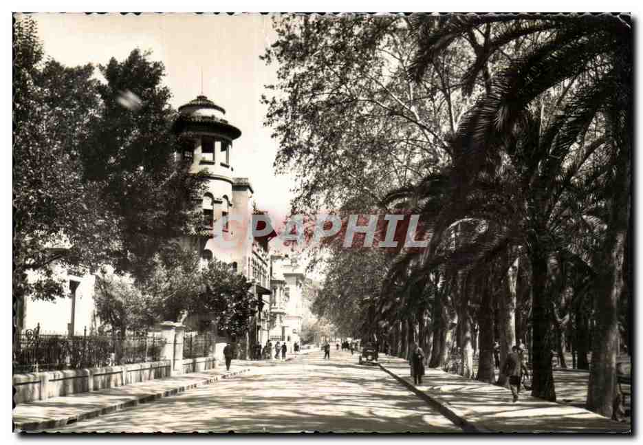CPA Espagne Spain Espana Malaga Avenida Cervantes