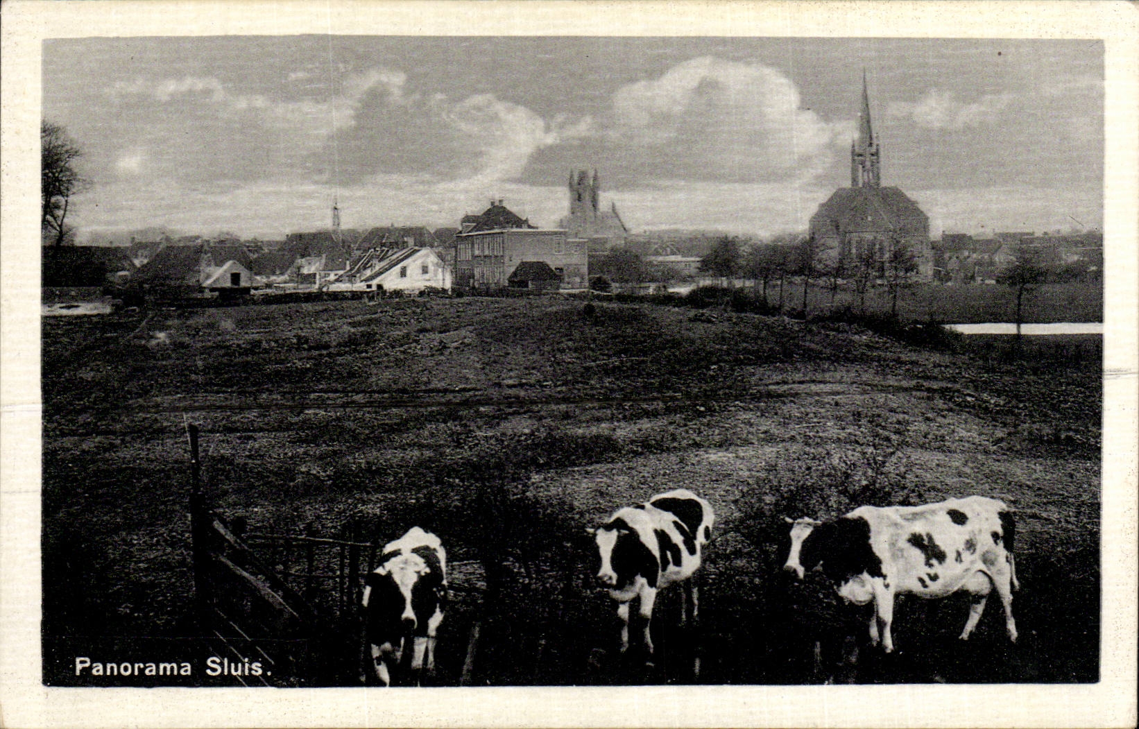 Pays Bas - Holland - Nederland - Panorama Sluis CPA 