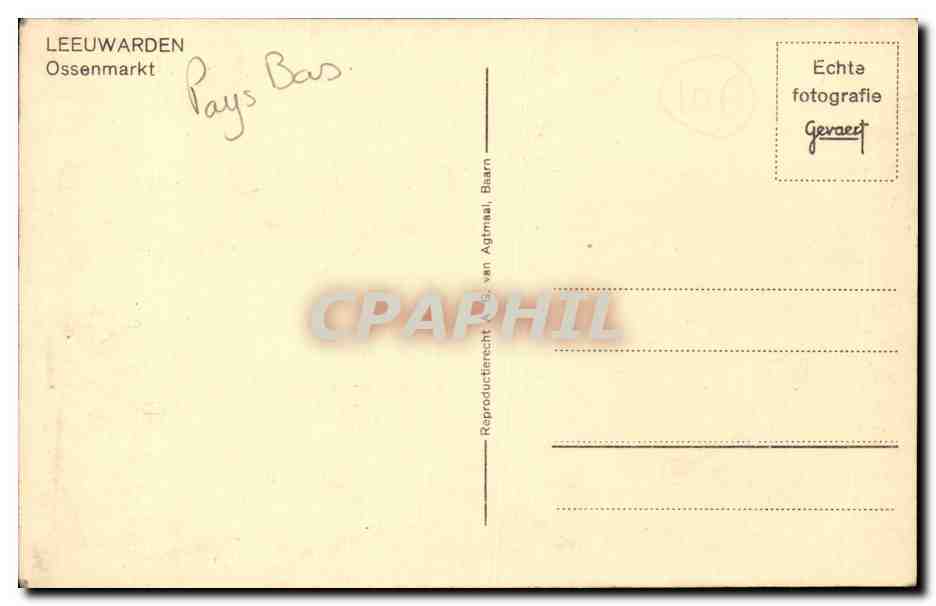 Pays Bas - Holland - Nederland - Leeuwarden - Ossenmarkt CPA  — Back