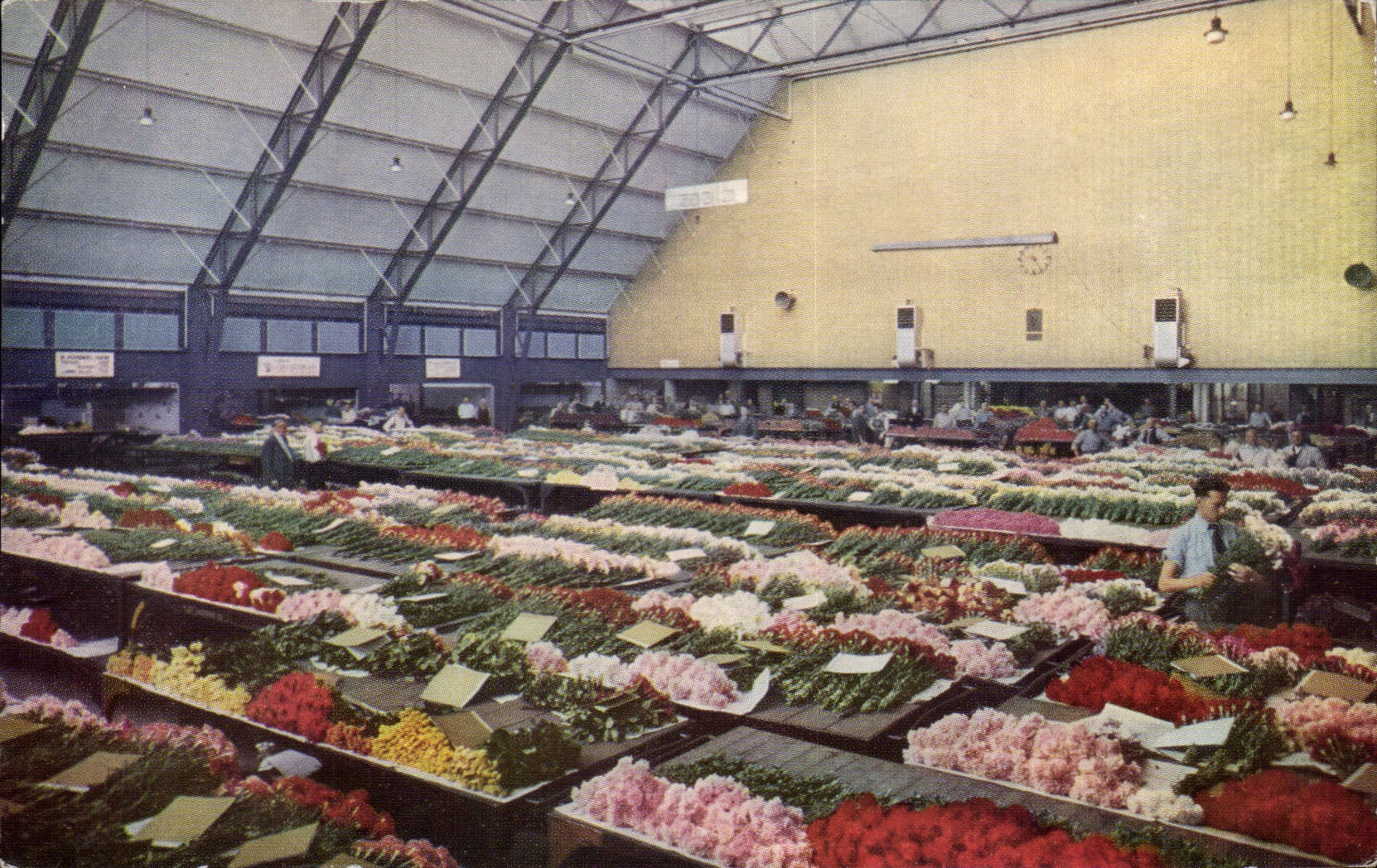 CPA Pays Bas Centrale Aalsmeersche Veiling Aalsmeer Grande halle dans le rayon des fleurs coupees