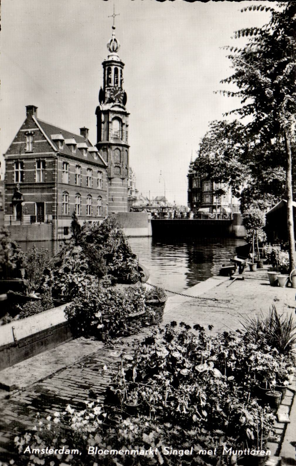 Amsterdam, Bloemenmarkt Singel met Munttoren — éditeur M. van Guideren & Zoon N.V., n° 98