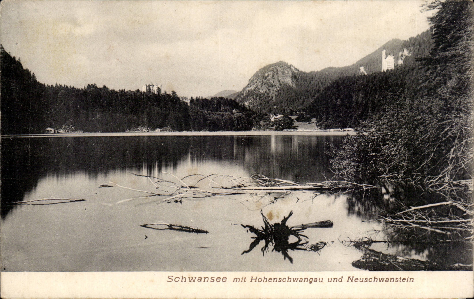 CPA Pays Bas Schwansee mit Hohenschwangau und Neuschwanstein