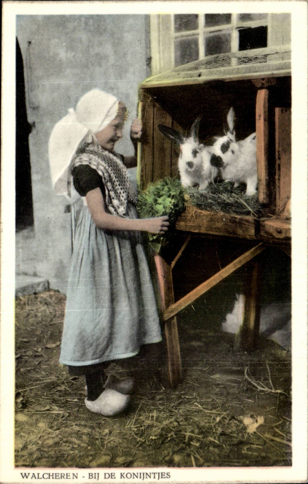 CPA Pays Bas Walcheren Bij de Konijntjes Lapins Rabbits