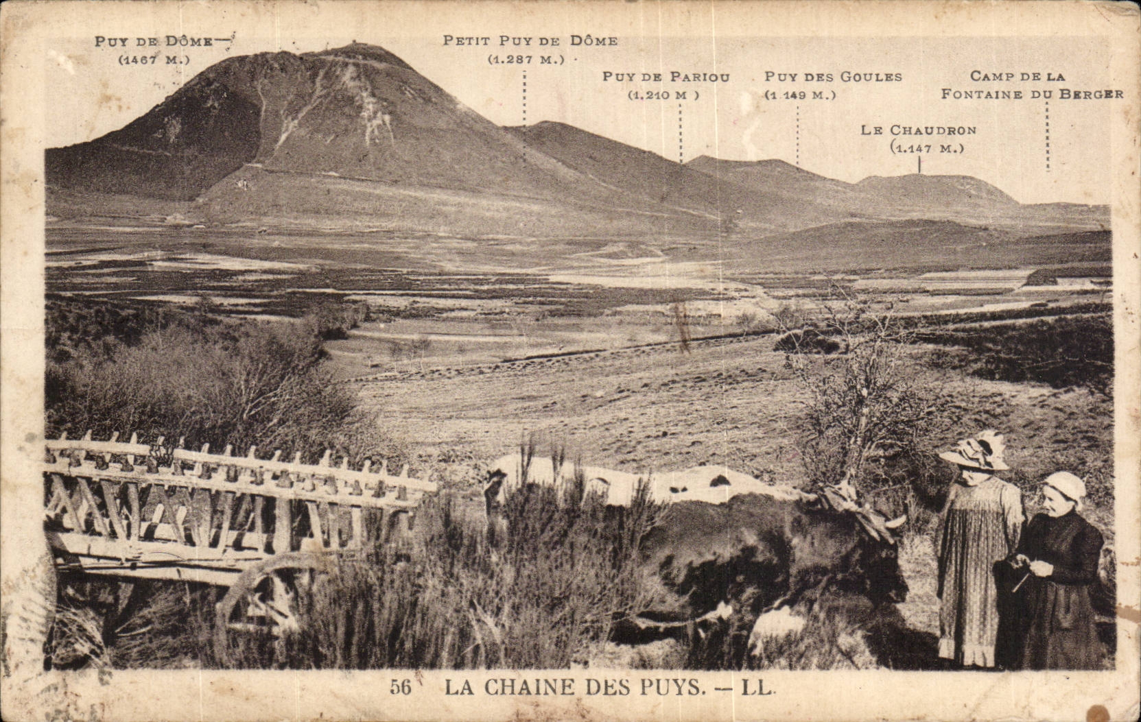CPA La chaine des Puys Vaches Folklore Costume Attelage