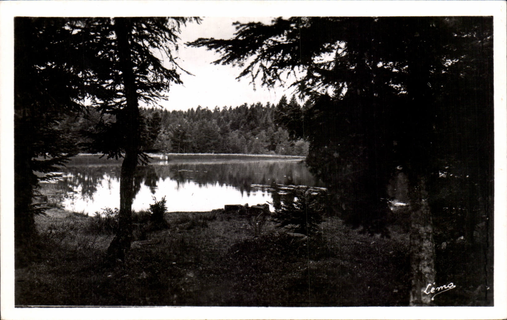 CPSM Sembadel Gare Paysage dans la foret du bois noir a la prise d'eau