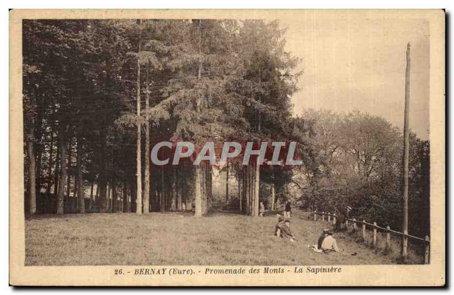 CPA Bernay Promenade des Monts La Sapiniere