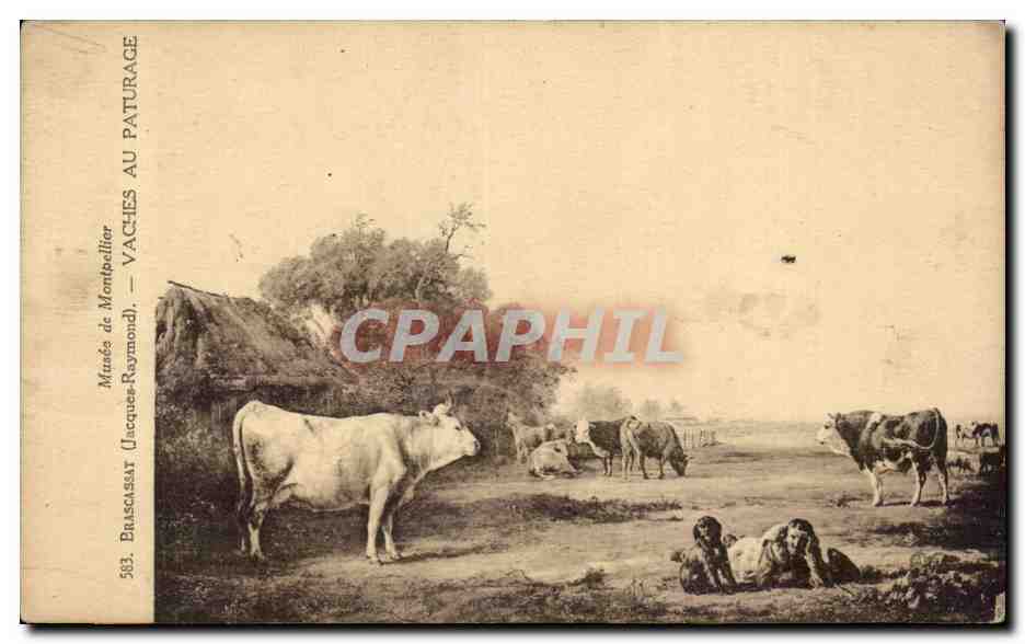 CPA Fantaisie Musee de montpellier Brascassat Vaches au paturage