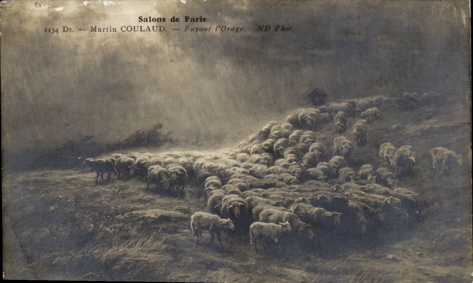 Moutons fuyant l'orage — Martin COULAUD — Salons de Paris, ND Phot.