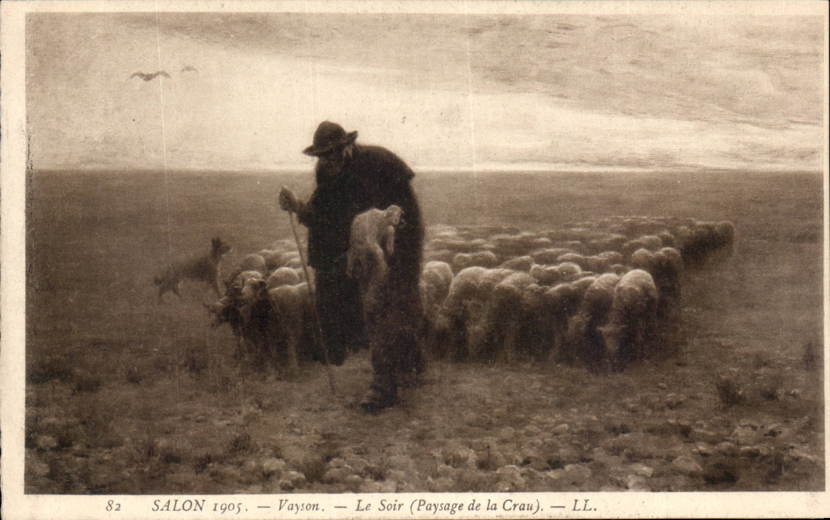 CPA Fantaisie Salon 1905 Vayson Le soir Paysage de la Crau Mouton sheep