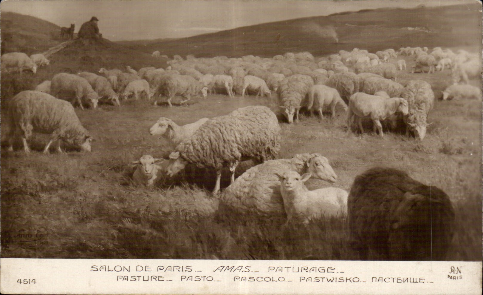 CPA Fantaisie Paris Salon Amaas Paturage Mouton sheep
