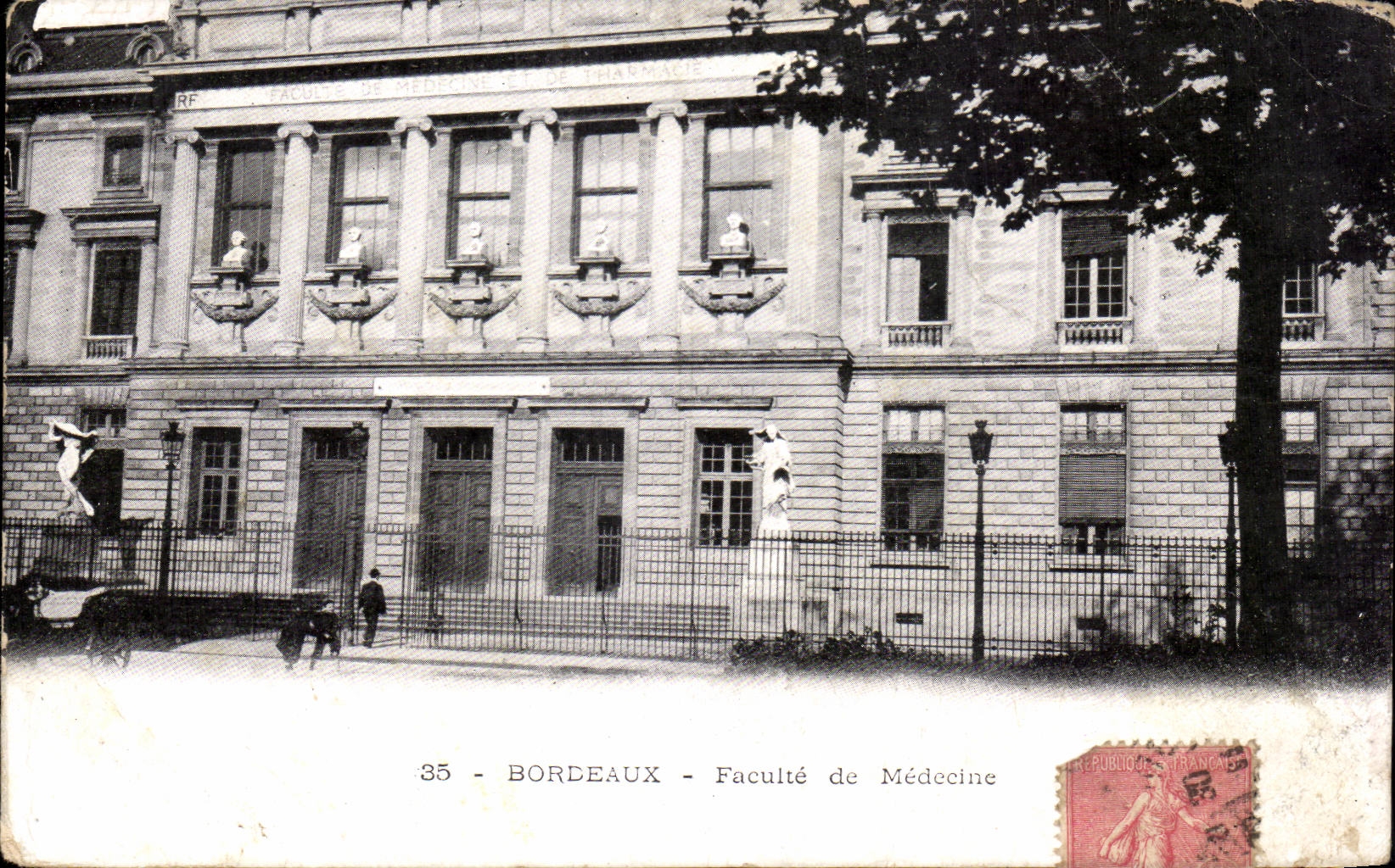Bordeaux - Faculte de Medecine - CPA 
