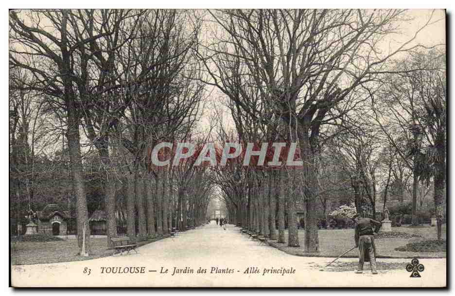 Toulouse — Le Jardin des Plantes — Allée principale