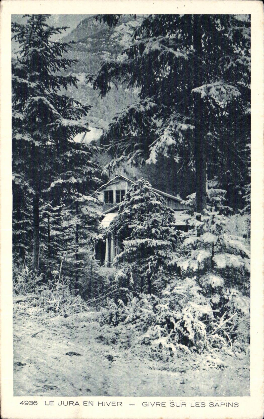 Jura en Hiver - Givre sur les Sapins - CPA 